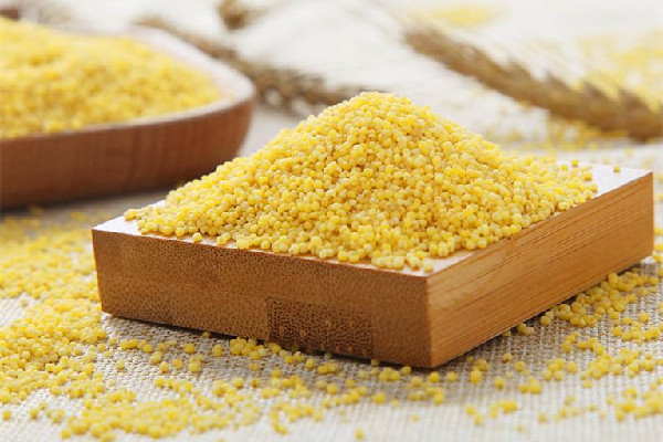 小米有什么营养和功效 小米可以减肥吗